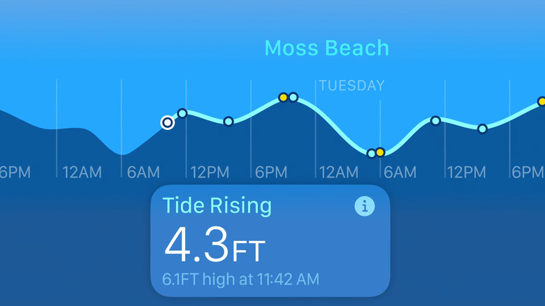 Tides app coming to Apple Watch.