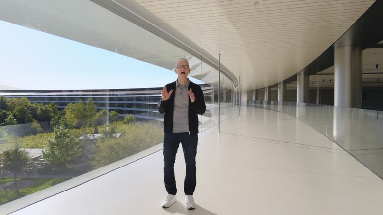 Apple CEO Tim Cook