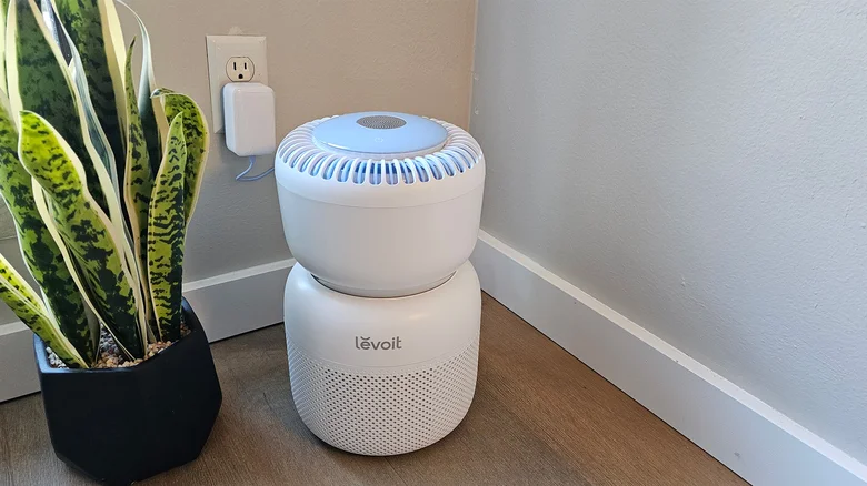 Amy Skorheim for Engadget