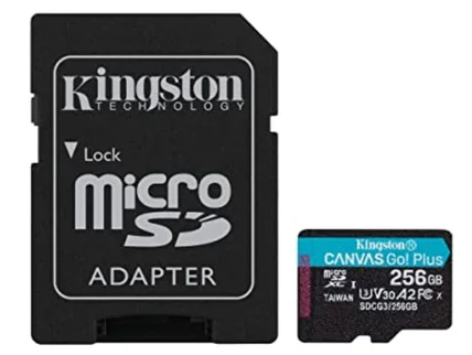 Kingston