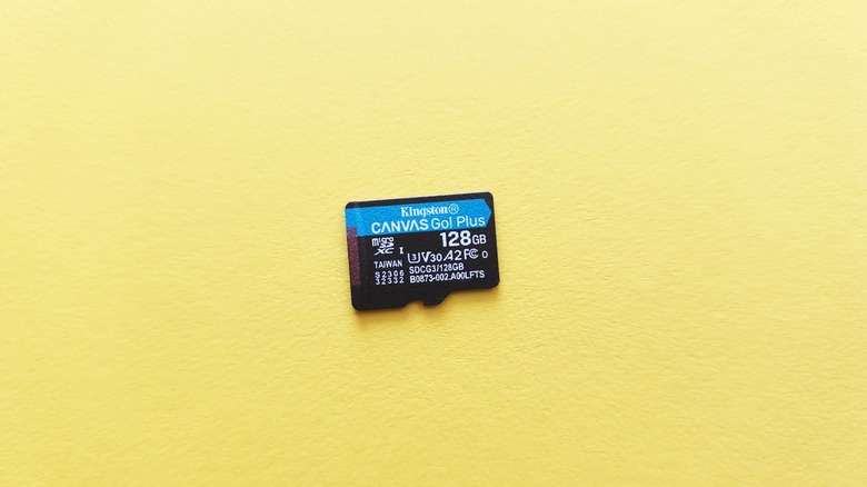 The Kingston Canvas Go Plus.