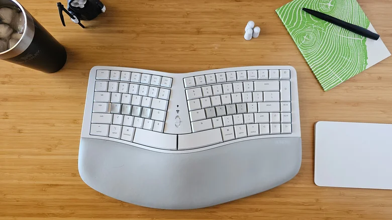 Amy Skorheim for Engadget
