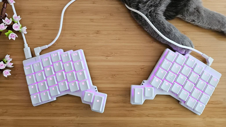 Photo by Amy Skorheim / Engadget