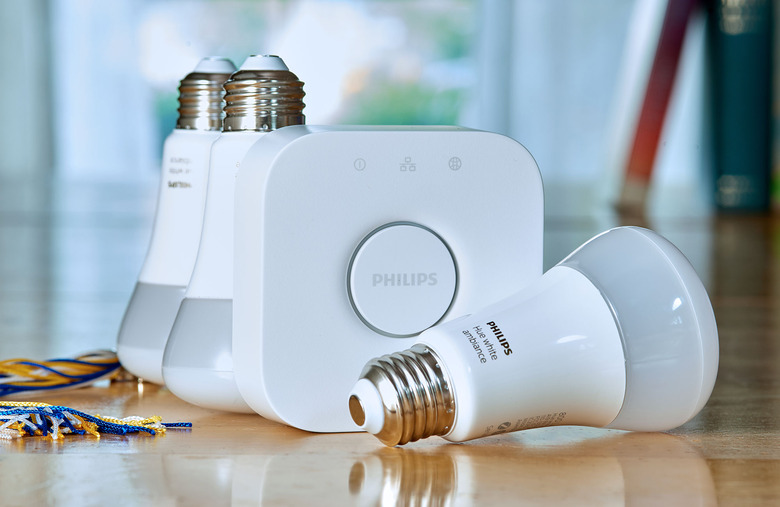 Will Lipman Photography