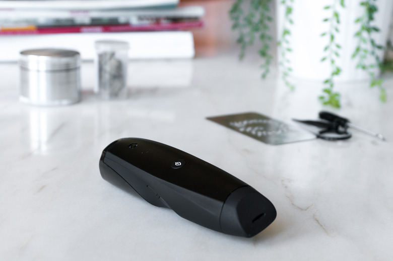 (Kyle Fitzgerald/Wirecutter)