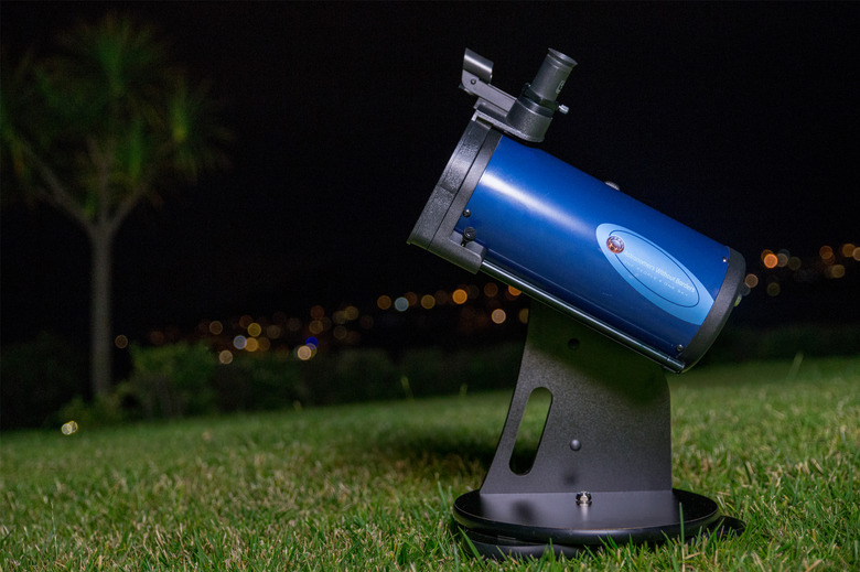 (Caleigh Waldman/Wirecutter)