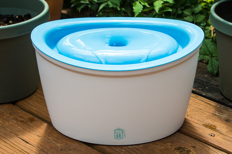 (Rebekah Valentine/Wirecutter)