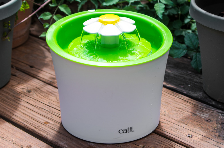 (Rebekah Valentine/Wirecutter)