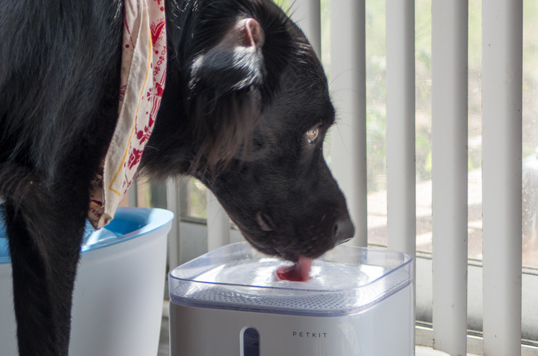 (Rebekah Valentine/Wirecutter)