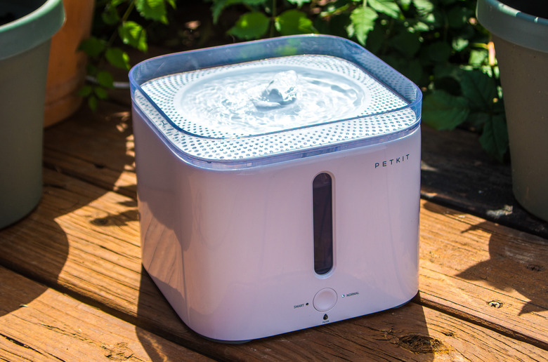 (Rebekah Valentine/Wirecutter)