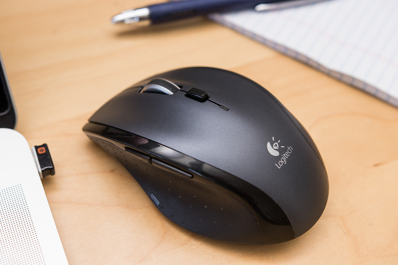 (Kyle Fitzgerald/Wirecutter)