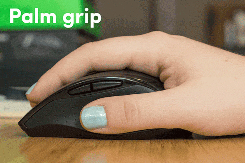 (Kyle Fitzgerald/Wirecutter)