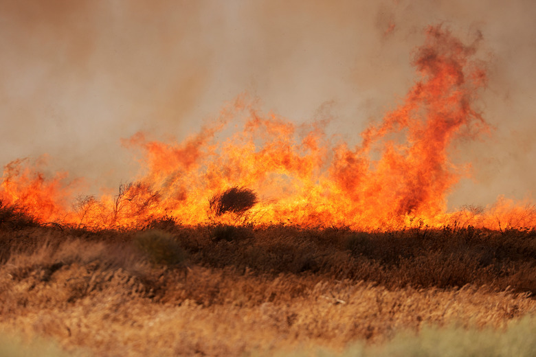 A view of the Danny Fire burning over 1,500 acres of Lancaster, California, U.S., June 4, 2023.  REUTERS/David Swanson