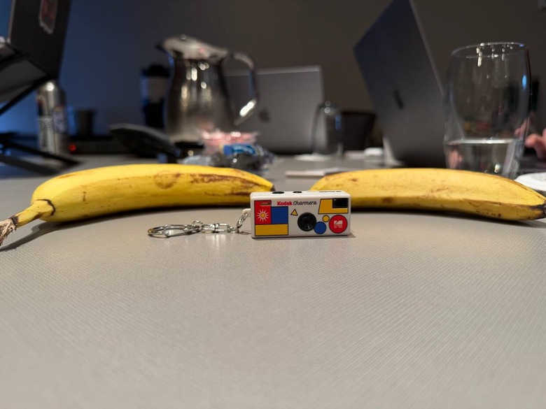 Also in front of two different-sized bananas for (more) scale.