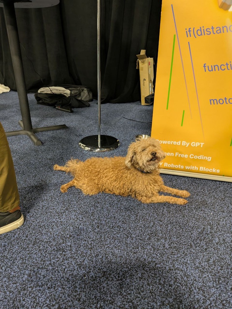 A little puppy sprawled out on the carpeted floor of CES 2026.