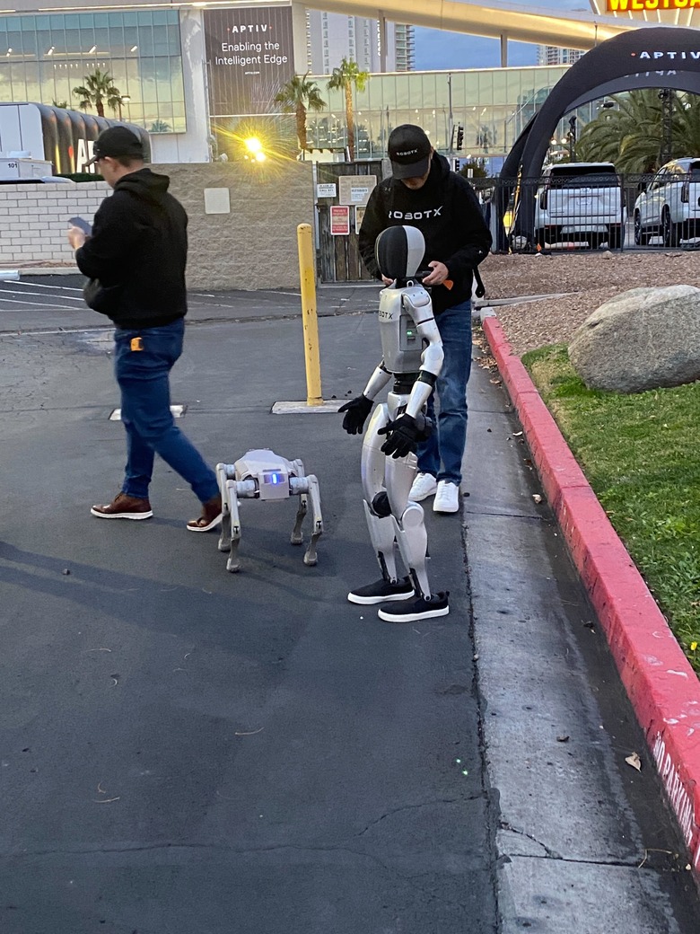 There are some robots hanging out in our hotel parking lot.