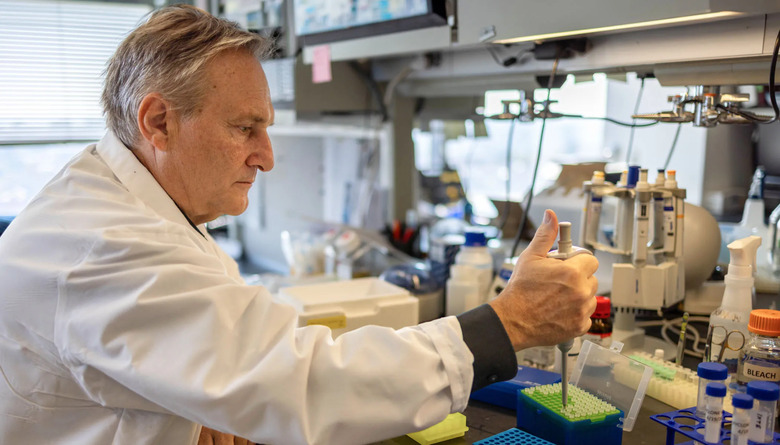 Columbia University professor Andrea Califano, president of CZ Biohub NY, is pictured  in his lab