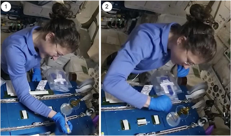 Astronaut Christina Koch using CRISPR gene editing in space