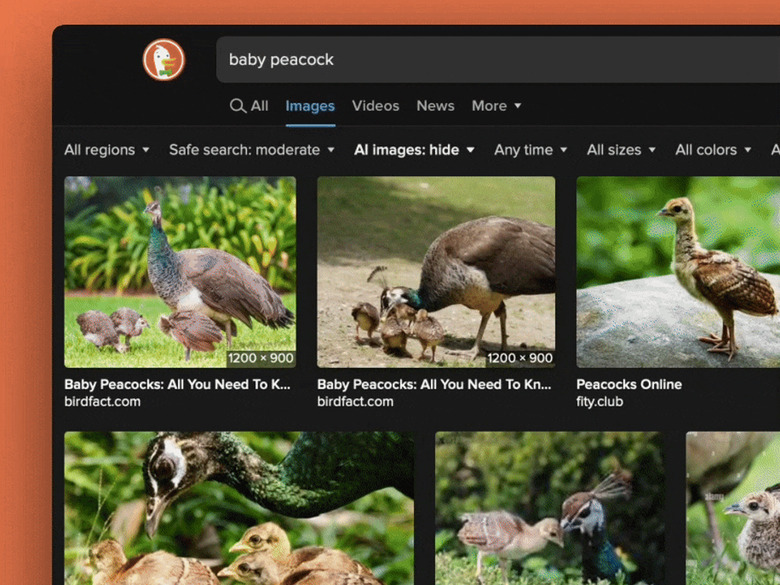 DuckDuckGo's new filter allows you to remove most AI images from your search results. 