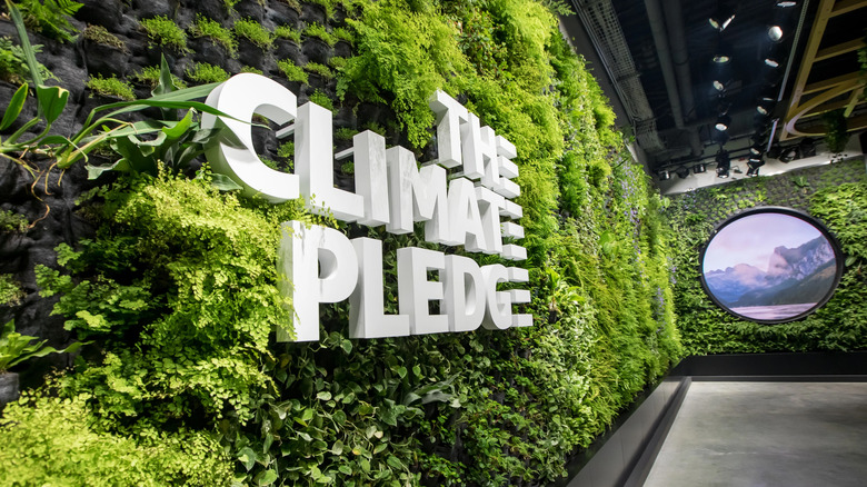 A wall of green plants with white lettering, reading 