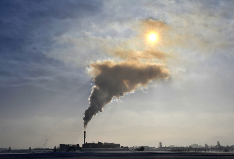 Smoke billows from a chimney of the Termika factory, which produces glass wool, in Skojfa Loka January 21, 2010.      REUTERS/Srdjan Zivulovic(SLOVENIA - Tags: BUSINESS IMAGES OF THE DAY)