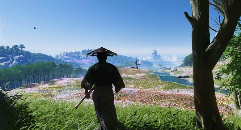 A figure wearing a straw hat is shown from behind as they gaze out at a colorful landscape of flowers, trees and mountains.