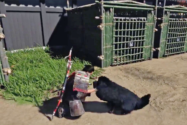 Petting dogs in the Ghosts of Tsushima video game