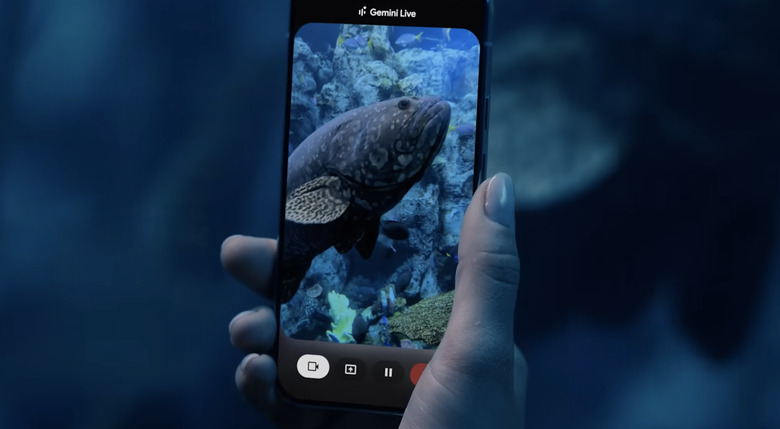 An example of camera sharing using Google's Gemini Live AI. 