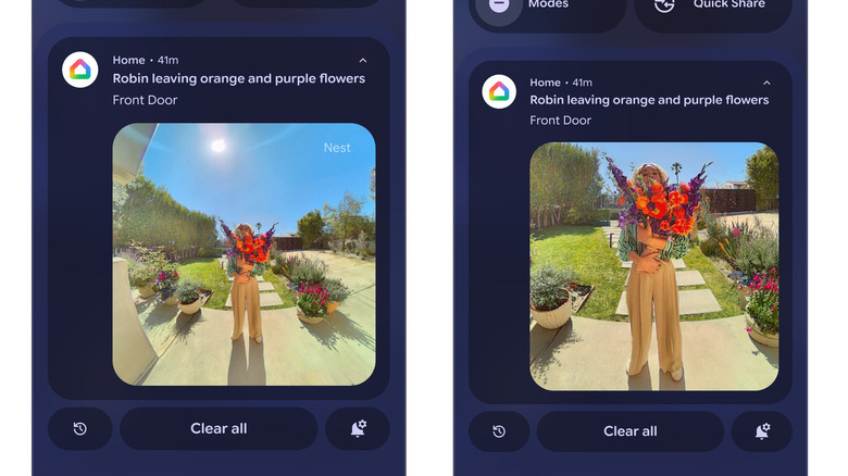 Alerts can digitally zoom in on subjects.