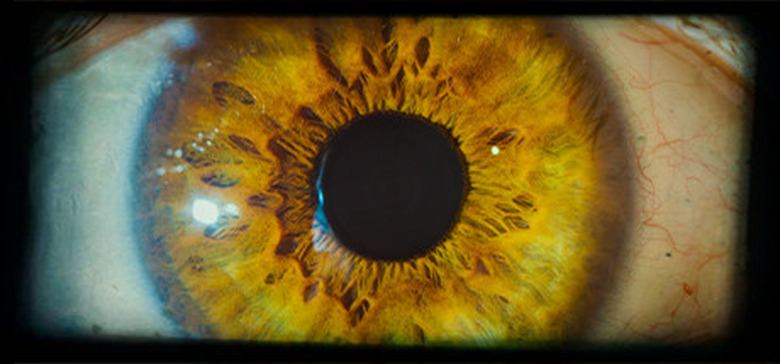 An image of an eye from the 