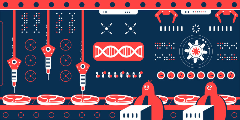 Genetically Modified Food vector art illustration.
Scientist (engineer, biochemist) team making cultured meat (artificial meat, in vitro meat, lab-grown burger) in a factory with production line. 
Genetic engineering, genetic modification, GMO and gene manipulation concept.
