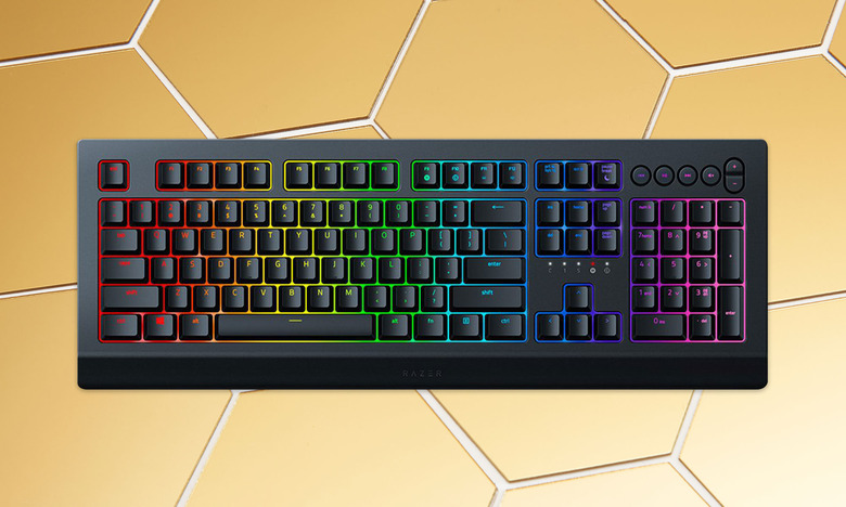 Will Lipman Photography / Razer