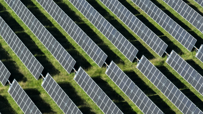 This stunning aerial view captures an array of solar panels arranged in neat, parallel rows across the landscape. From above, the panels shimmer under the bright sunlight, creating a striking contrast against the natural terrain below. The organized rows of solar panels stretch across acres of land, symbolizing the growing global shift toward renewable energy. The grid-like pattern highlights the efficiency and scale of modern solar farms, contributing to sustainable energy production.This high-resolution image showcases the incredible reach and potential of solar power as a clean, renewable energy source. Whether situated in rural fields, expansive deserts, or atop rooftops, these solar panels represent a major step toward reducing carbon footprints and combating climate change. The solar farm's orderly rows and reflective surfaces create a visually appealing scene, demonstrating both technological innovation and environmental responsibility.