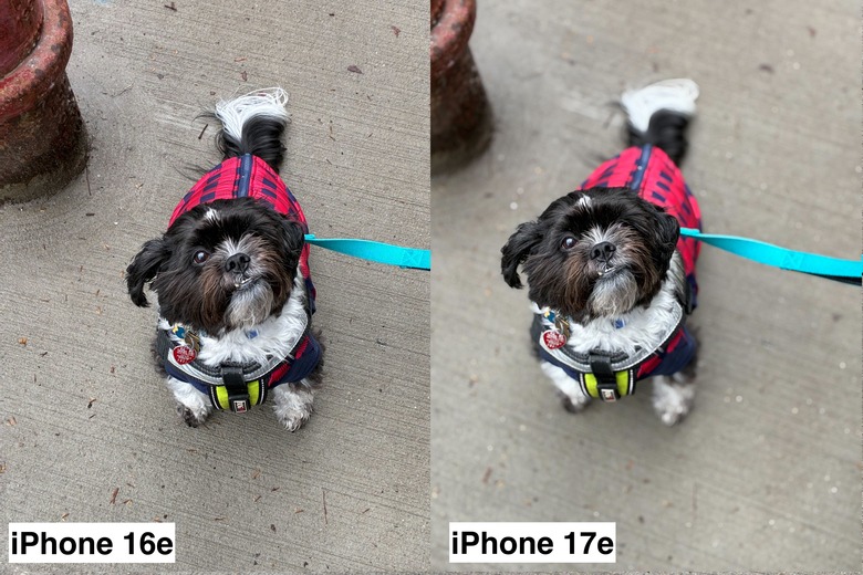 iPhone 17e review: The economical choice