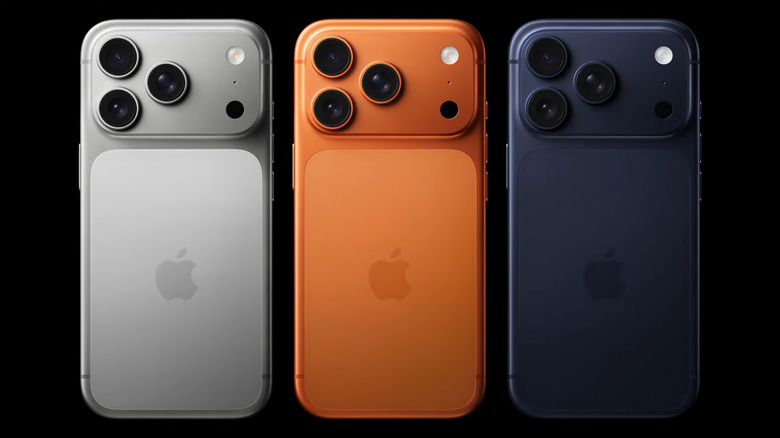 The iPhone 17 Pro has three rear-facing cameras. (Apple)