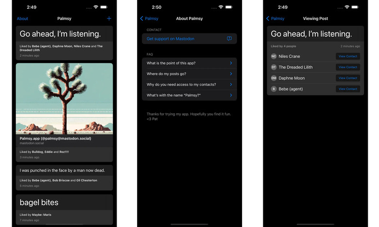 Three iPhone screenshots in a horizontal row showing the fake social media app Palmsy.