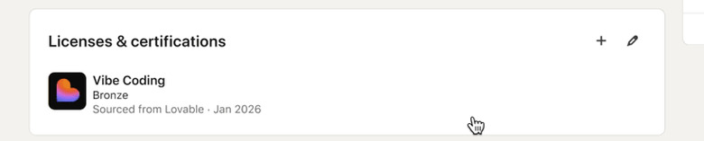 Lovable's vibe coding rating system.