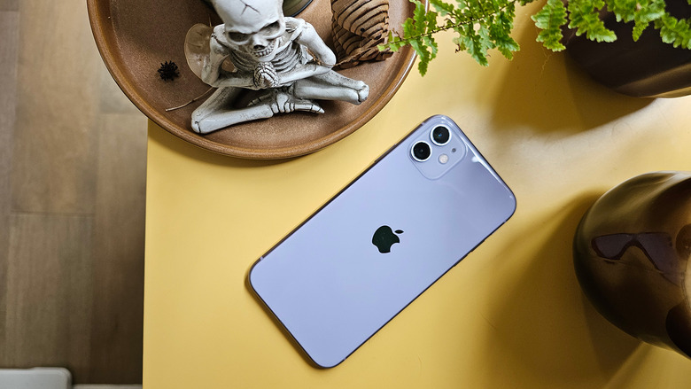 My iPhone 11 outside its case. Still quite shiny. 