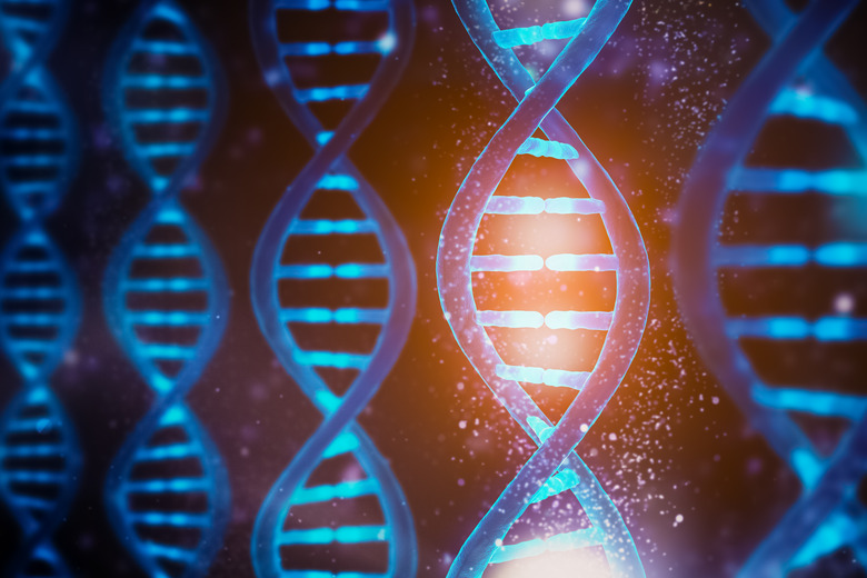 Glowing and shining DNA strands double helix close-up. Medical, biology, microbiology, genetics 3D rendering illustration concept. Artist vision.
