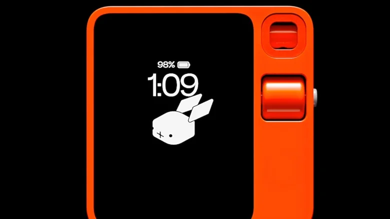 Rabbit