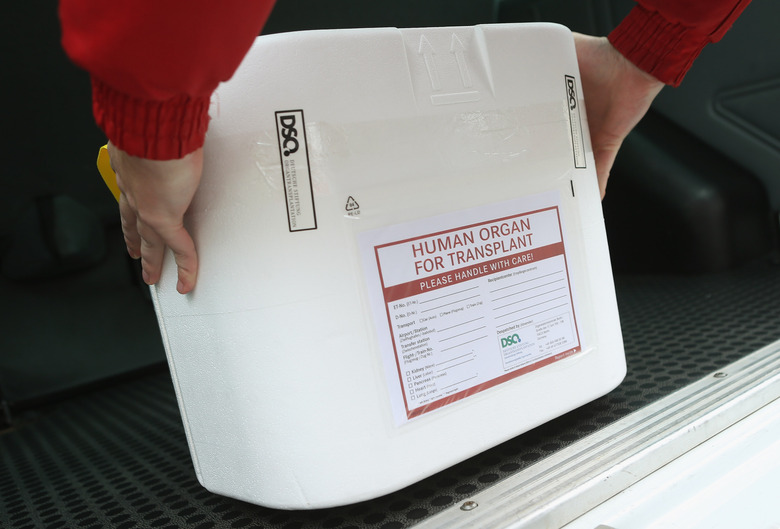 BERLIN, GERMANY - SEPTEMBER 28:  In a media event provided by the German Foundation for Organ Transplants (Deutsche Stiftung Organtransplantation) a driver places an empty styrofoam box used for transporting human organs into his van at the Vivantes Neukoelln clinic on September 28, 2012 in Berlin, Germany. German politicians and health officials are debating the country's current system for matching doners with recipients following a scandal earlier in the year in which some patients were given preferential treatment at several hospitals. Vivantes clinics were not involved in the scandal.  (Photo by Sean Gallup/Getty Images)