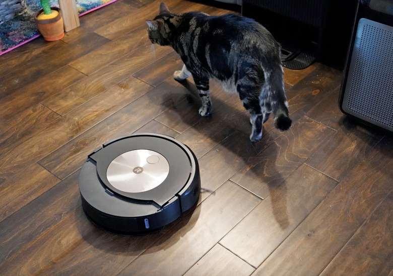 A robovac and a cat.