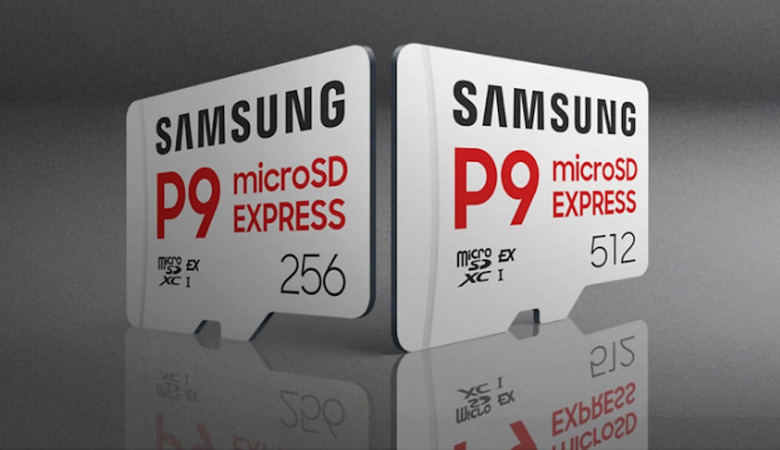 Two microSD cards.