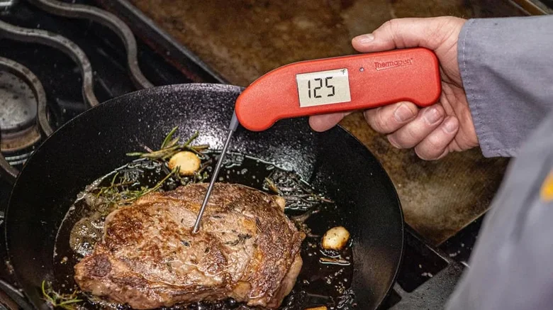 Thermapen