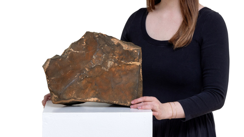 A person standing next to a large Martian meteorite, which sits on a pedestal.