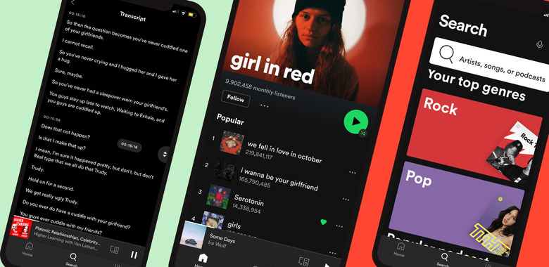 Spotify accessibility features