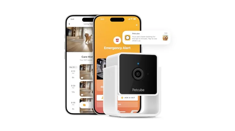 Petcube