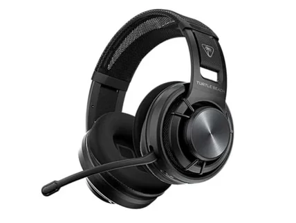 Turtle Beach