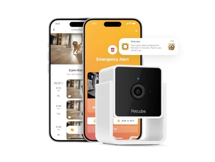 Petcube