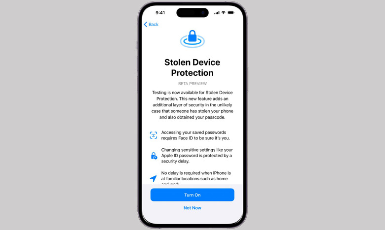 Screenshot inside an iPhone frame showing the new Stolen Device Protection feature. It lists details about the feature and prompts the user to 